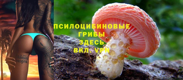 эйфоретик Балахна