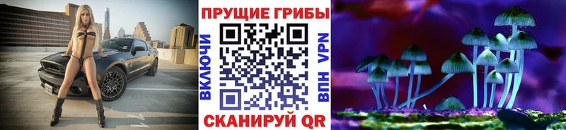 Галлюциногенные грибы Psilocybine cubensis  Онега 