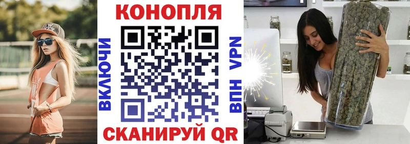 Шишки марихуана семена  Онега 